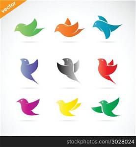 Vector group of colorful bird on white background. Vector group of colorful bird