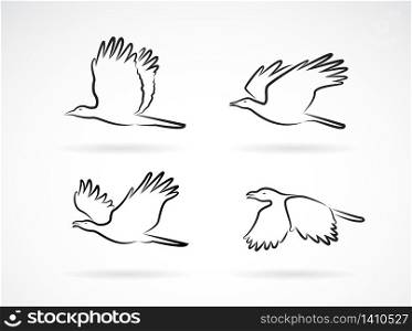 Vector group of crow flying on white background. Birds. Animals. Easy editable layered vectors illustration.