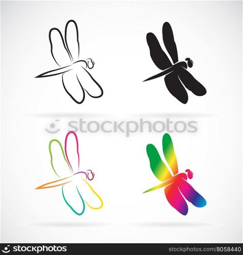Vector group of dragonfly on white background