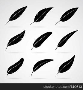 Vector group of feather on white background