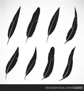 Vector group of feather on white background