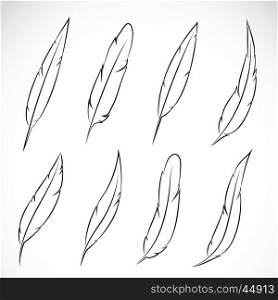 Vector group of feather on white background.