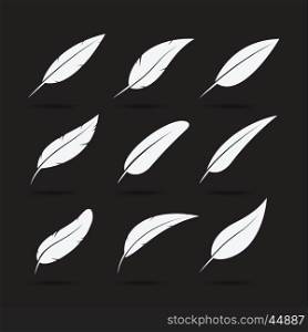 Vector group of feather on white background. Feather Icon.