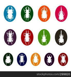 Vector group of insects on white background. Beetle