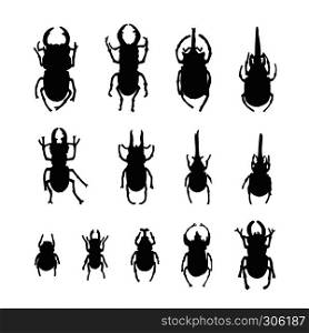 Vector group of insects on white background. Beetle