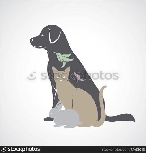 Vector group of pets - Dog, cat, bird,butterfly, rabbit, isolated on white background