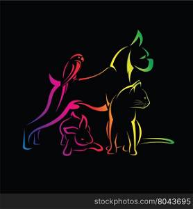 Vector group of pets - Dog, cat, bird, rabbit, isolated on black background