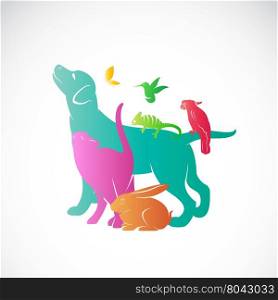 Vector group of pets - Dog, cat, parrot, chameleon, rabbit, butterfly, hummingbird isolated on white background, / Vector pets for your design.