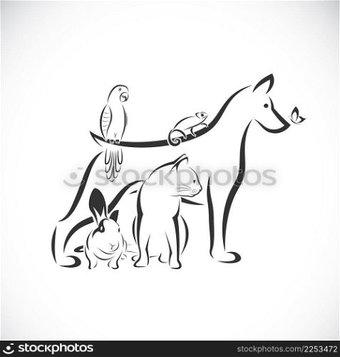 Vector group of pets - Dog, Cat, Parrot, Rabbit, Butterfly, Hummingbird, Chameleon, isolated on white background. Pet. Animals. Easy editable layered vector illustration. Pet group.