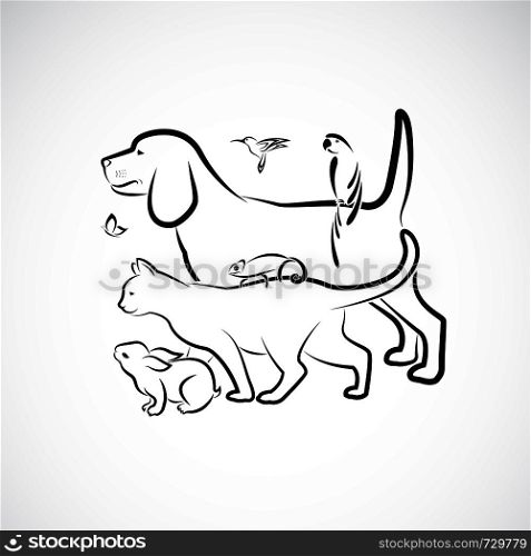 Vector group of pets - Dog, Cat, Parrot, Rabbit, Butterfly, Hummingbird, Chameleon, isolated on white background. Pet. Animals. Easy editable layered vector illustration. Pet group.