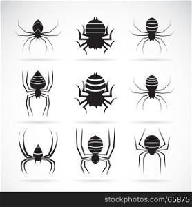 Vector group of spiders on white background. Insect Animals. Spiders Icon.