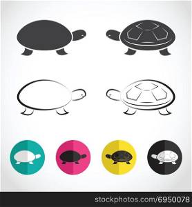 Vector group of turtle on white background