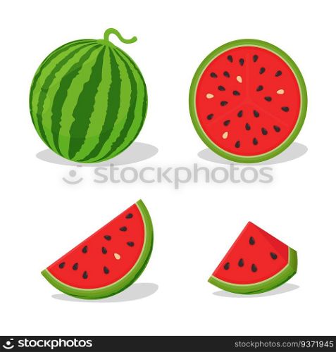 Vector halved red flesh watermelon. Watermelon is popular in the summer.