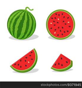 Vector halved red flesh watermelon. Watermelon is popular in the summer.