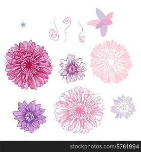 Vector hand draw flowers set isolated on white.. Vector hand draw flowers set isolated on white