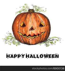 Vector hand drawing Halloween orange pumpkin isolated on white background