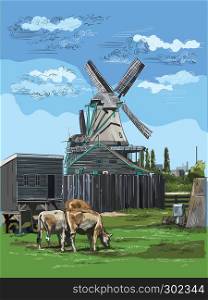Vector hand drawing Illustration of watermill in Amsterdam (Netherlands, Holland). Landmark of Holland. Watermill and cows grazing on the meadow.Colorful vector engraving illustration.