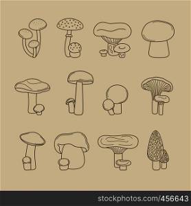 Vector hand drawing mushrooms for recipes and menus line icons. Vector hand drawing mushrooms