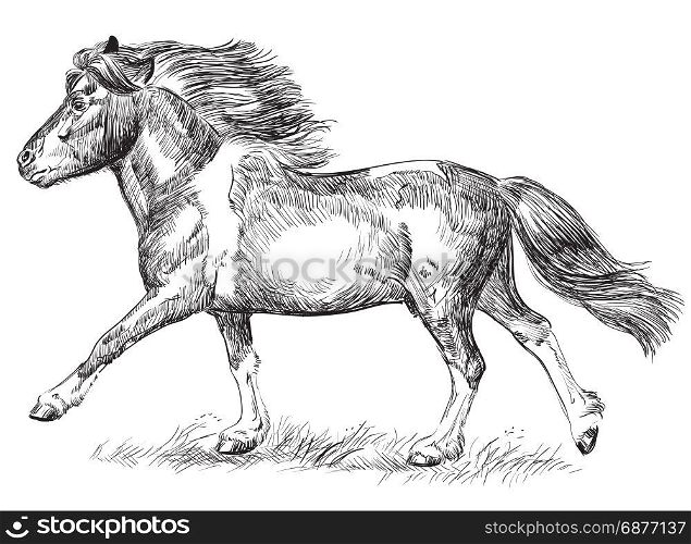 Vector hand drawing pony galloping in black color isolated on white background