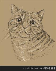 Vector hand drawing portrait of cat in black and white colors. Monochrome realistic retro portrait of cat. Vector vintage illustration isolated on beige background.Image good for design, cards and tattoo.