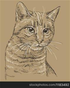 Vector hand drawing portrait of cat in black and white colors isolated on beige background. Monochrome realistic retro portrait of cat. Vector vintage illustration of cat. Image good for design, cards and tattoo.