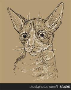 Vector hand drawing portrait of Cornish Rex cat in black and white colors isolated on beige background. Monochrome realistic portrait of cat. Vector illustration of naked cat. Image for design, cards.