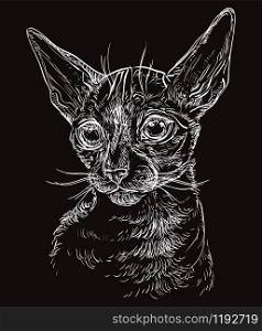 Vector hand drawing portrait of Cornish Rex cat in white color isolated on black background. Monochrome realistic portrait of cat. Vector illustration of naked cat. Image for design, cards.