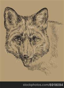 Vector hand drawing portrait of fox in black and white colors isolated on beige background