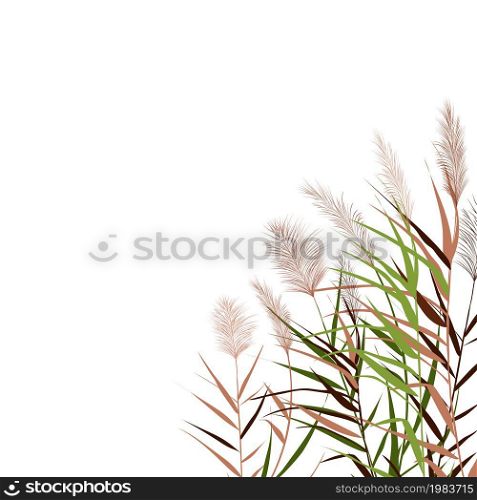 Vector hand drawing sketch with reeds.