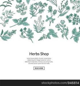 Vector hand drawn banner and poster medical herbs background with place for text illustration. Vector hand drawn medical herbs background with place for text illustration
