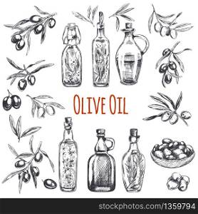 Vector hand drawn engraved illustration of olive branches with olive fruits and bottles of olive oil with herbs. Sketch vintage style.