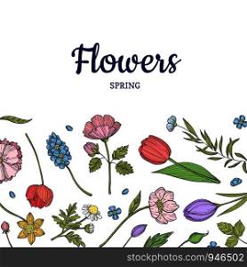 Vector hand drawn flowers background with place for text illustration. Vector hand drawn flowers background banner poster