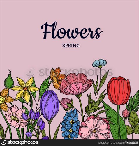 Vector hand drawn flowers background with place for text illustration. Floral flower, vintage nature and flourish springtime. Vector hand drawn flowers background with place for text illustration