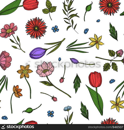 Vector hand drawn flowers pattern or background illustration. Colored plant and flowers. Vector hand drawn flowers pattern or background illustration