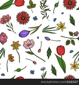 Vector hand drawn flowers pattern or background illustration. Colored plant and flowers. Vector hand drawn flowers pattern or background illustration