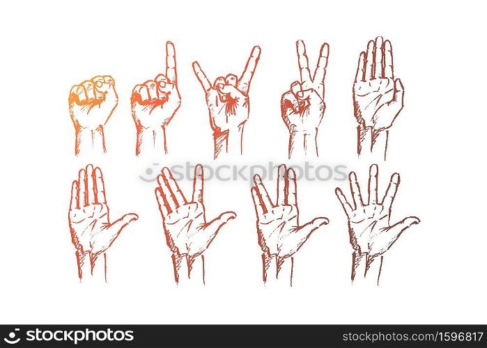 Vector hand drawn Hand signs concept sketch. Set of human palms with different gestures meaning different signs.. Hand drawn hands signs with conceptual lettering
