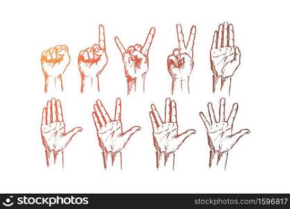 Vector hand drawn Hand signs concept sketch. Set of human palms with different gestures meaning different signs.. Hand drawn hands signs with conceptual lettering