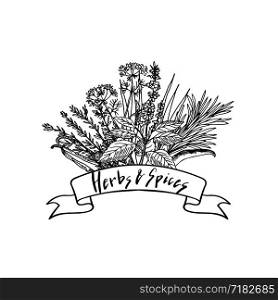 Vector hand drawn herbs and spices in bouquet with ribbon and lettering illustration. Vector hand drawn herbs and spices in bouquet