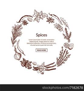 Vector hand drawn herbs and spices in circle form with place for text in center illustration. Vector hand drawn herbs and spices