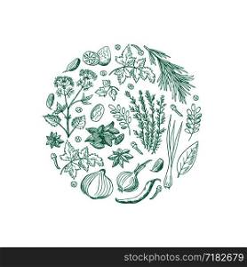 Vector hand drawn herbs and spices in circle shape illustration isolated on white background. Vector hand drawn herbs and spices in circle shape illustration
