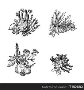 Vector hand drawn herbs and spices piles set illustration isolated on white background. Vector hand drawn herbs and spices piles set illustration