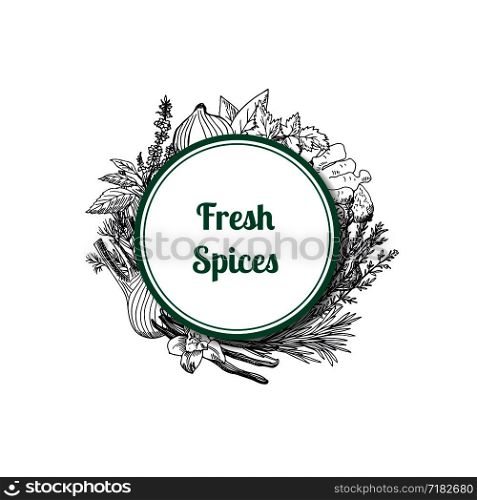 Vector hand drawn herbs and spices under circle with place for text illustration. Vector hand drawn herbs and spices