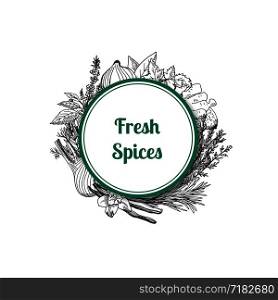 Vector hand drawn herbs and spices under circle with place for text illustration. Vector hand drawn herbs and spices