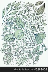 vector hand drawn illustration of abstract leaves and seeds