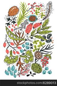vector hand drawn illustration of colorful vegetables, plants and berries