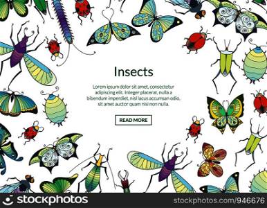 Vector hand drawn insects background with place for text illustration. Butterfly and insect, ladybug and creature. Vector hand drawn insects background with place for text illustration