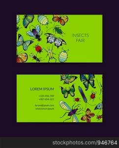 Vector hand drawn insects business card template for fair illustration. Vector hand drawn insects business card isolated