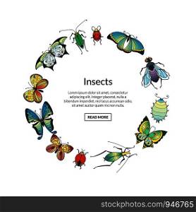 Vector hand drawn insects in circle shape with place for text illustration. Vector hand drawn insects in circle shape