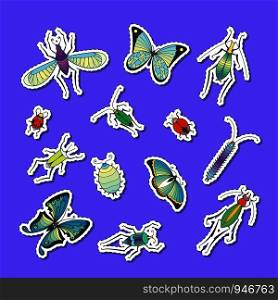 Vector hand drawn insects stickers set illustration isolated on background. Vector hand drawn insects stickers set illustration