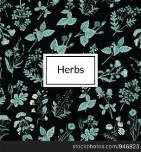 Vector hand drawn medical herbs background or pattern with place for text illustration. Vector hand drawn medical herbs background illustration